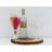 Chalisse Plant / Floral Diffuser