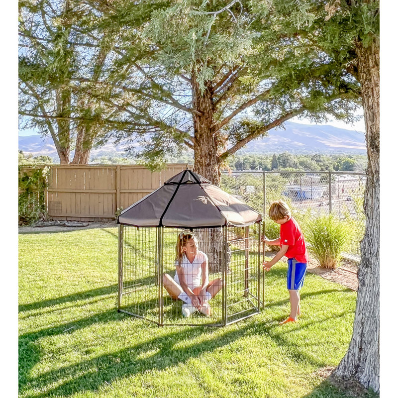 Chenil pour chien modulaire et parc pour animaux avec auvent pour animal de compagnie - enclos intérieur, extérieur et portable, 5 pi