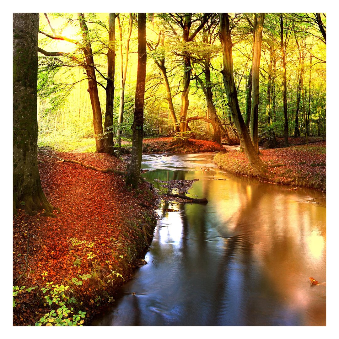 Matt Fototapete Autumn Fairytale 1,92 m x 192 cm