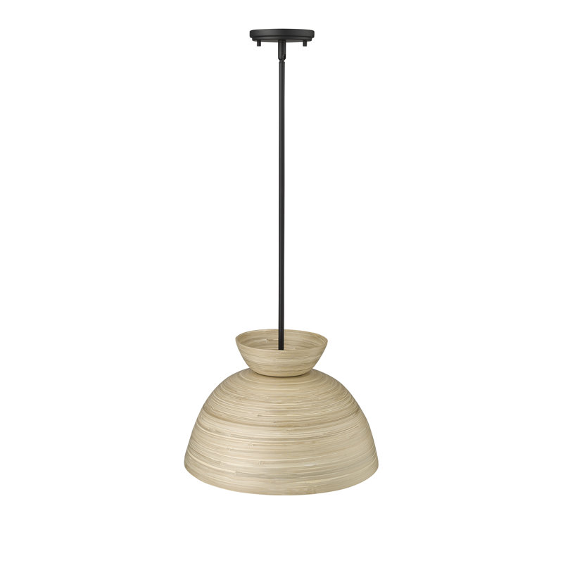 Luminaire suspendu 1 lumière Karlton