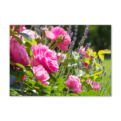 Wild Rose - Wrapped Canvas Print