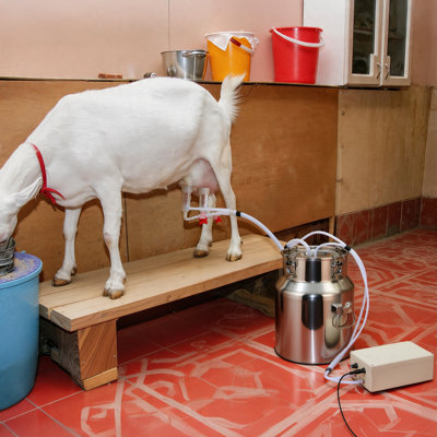 2026 Upgrade 15L Goat Milking Machine, Continuously Adjustable Suction Pulsation Vacuum Electric Milker, Portable Livstock Milking Machine With Stainless Bucket