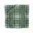 Abbot Polyester Plaid Square Napkin-19903130-19903126