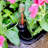 Anyce Pot Planter