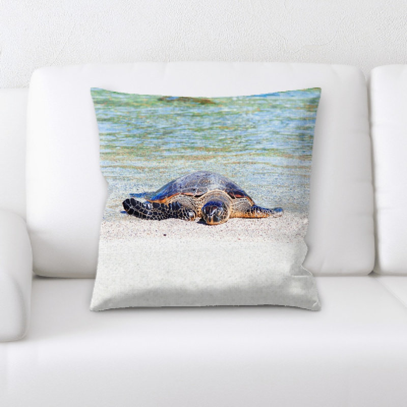 Layton Turtle Square Pillow Cover & Insert