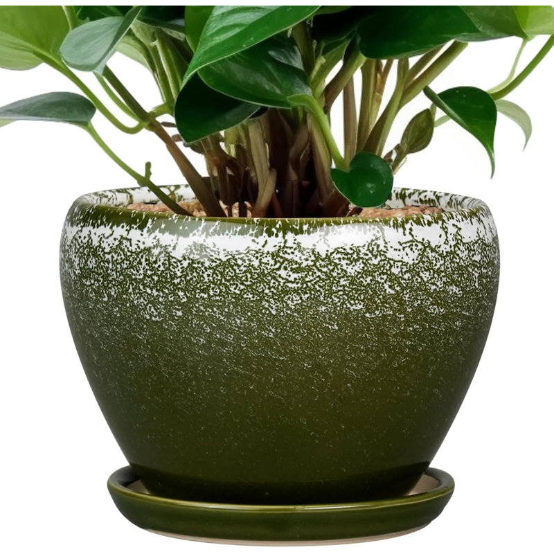 Pot à fleurs succulent en céramique vert foncé 6 pouces