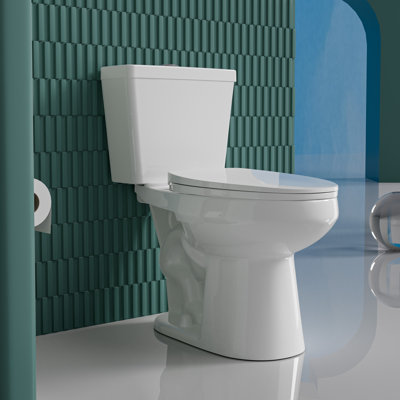 17" ADA Comfort Chair Height Seat Elongated Tall Toilet for Seniors, 1.0/1.28 GPF Tornado Dual Flush, MAP 1000g