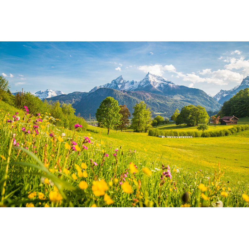 " Meadows In Springtime " by Bluejayphoto, 8" H x 12" W