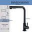 Belfry Kitchen Ansel Pull Out Kitchen Faucet