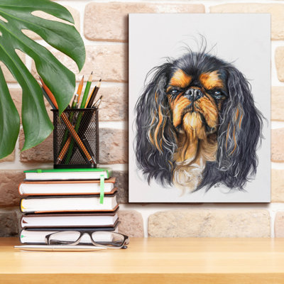 'King Charles Spaniel' by Barbara Keith, Canvas Wall Art