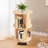 Debralyn 2- Tier 360° Rotating Bookshelf Bookcase Storage Shelf