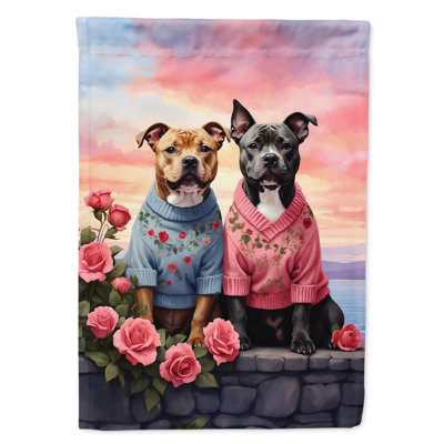 Double Sided 40'' H x 28'' W Polyester Valentine's Day House Flag