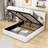 Mevelyn Upholstered Platform Bed-154634353