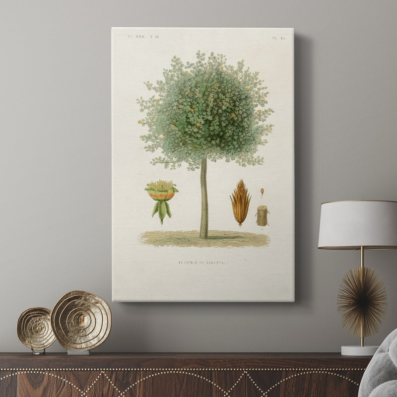 Arbre antique avec cavas enveloppés d'une galerie de fruits, H 60 po x l 40 po