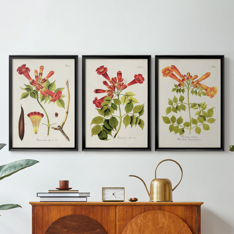 Tropical Trumpet Flowers I - Toile tendue avec châssis sur mesure - 3 pièces, H 27 po x l 39 po, Noir