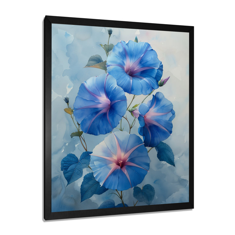 «Garden of Blue Morning Glory Bloom II - Morning Glory», art mural, Cadre simple noir, H 12 po x l 20 po