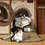  Tapis lavable Puspin-361318239