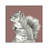 Watercolor Pencil Forest Color IV Squirrel by Kelsey Wilson - Gallery-Wrapped Canvas Giclée on Canvas-1645507046-1645507044