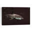 Grand requin poisson contemporain, impression d'art mural-164969468