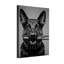Animaux, berger allemand tenant un fusil dans la bouche-541175976