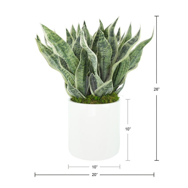 Faux Snake Plant in Fiberstone Planter