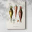 Variétés de fruits et légumes VI - Cavas enveloppés de galerie-864681374