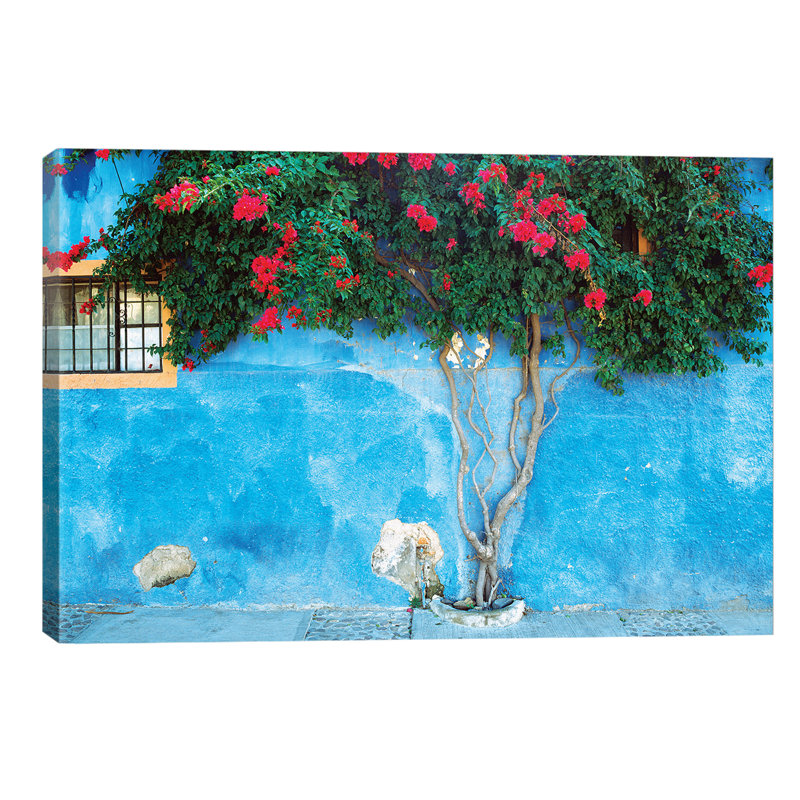 Mexico, Ajijic Bougainvillea Against Wall - No Frame Print on Canvas, 66.04 cm H x 45.72 cm W x 1.91 cm D