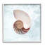 Aquarelle, Nautilus, spirale, coquillage, estampe numérique par Marcus Prime-1046458032-1046458034