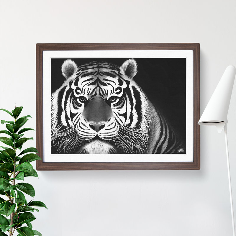 Tiger - Framed Print, 46cm H x 64cm W, Walnut Framed