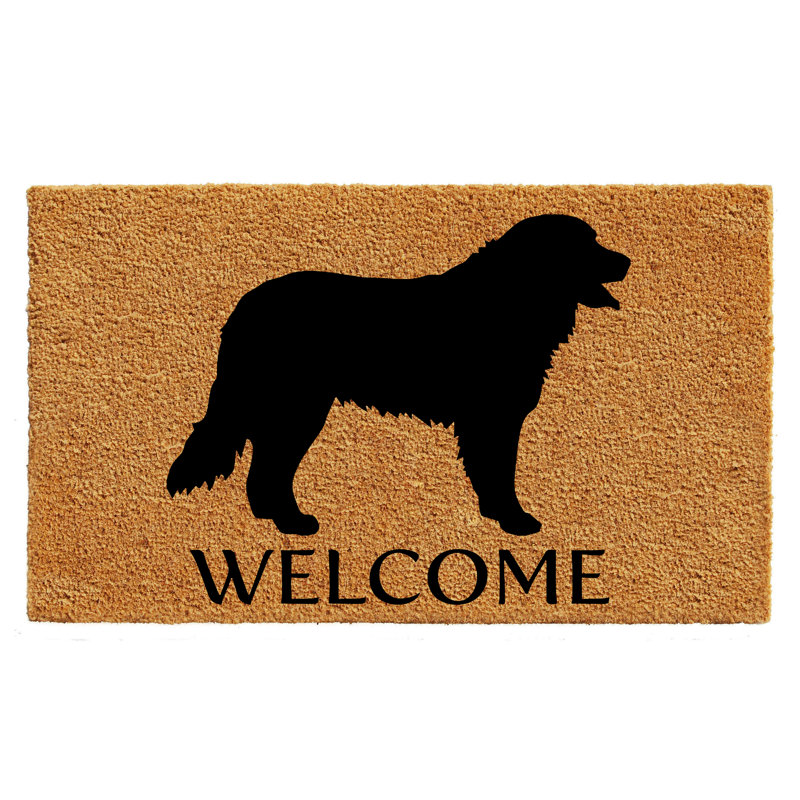 Tapis de porte d’extérieur antidérapant bouvier bernois mountain Hydeville, L 0,6 po x l 36 po x P 24 po