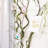 Artificial Bendable Twigs Branches Reptile Climbing Vines Trunk Grapevine Garland Moss Creeper Plants Fall Stems