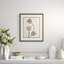 Tulip Series 1 Giclee Print by Dana Gibson