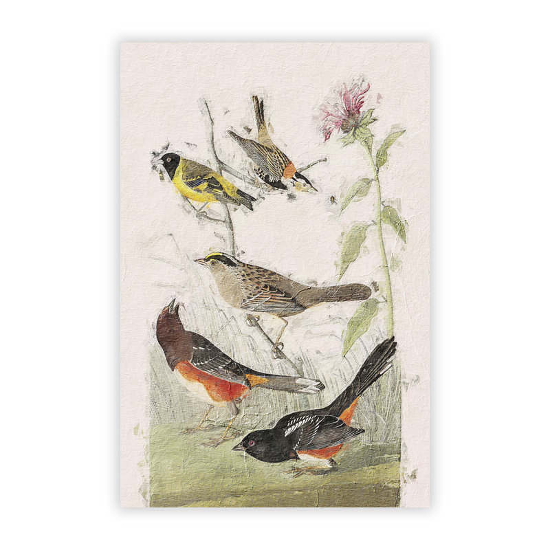 A Selection Of Birds by John Audubon - No Frame Painting, 42 cm H x 29.7 cm W