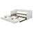 Extendable Upholstered Daybed with Two Drawers-336469080
