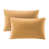 Ochre