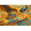 Tapis de salon moderne et abstrait 5 x 8