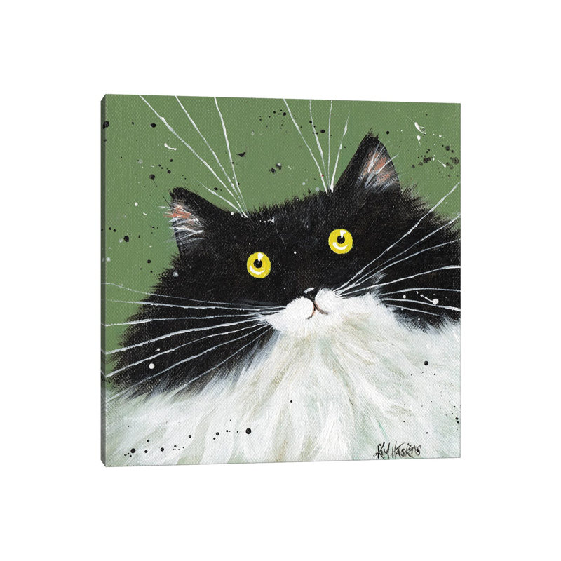 Tuxedo On Pea Green by Kim Haskins - Wrapped Canvas Print, 30.48 cm H x 30.48 cm W