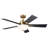 52'' Ceiling Fan with LED Lights-1614424767