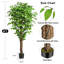 Ficus artificiel de 1,80 m, faux ficus avec pot noir, arbre réaliste pour la décoration intérieure de la maison, du bureau et de l'entrée.-1533884010-1534033677