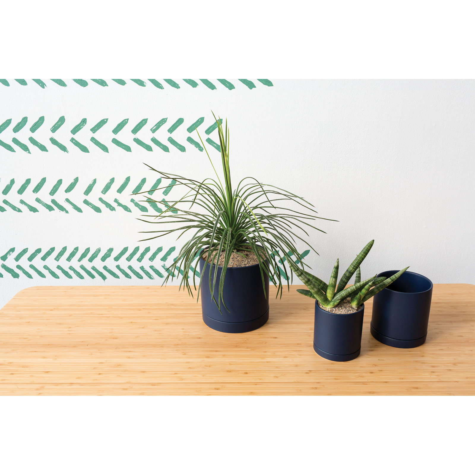 Carlotta 12" Ceramic Pot Planter, Dark Blue, 7" H x 7" W x 7" D