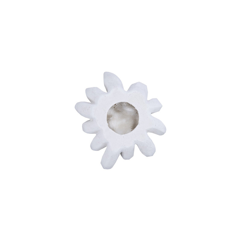 Compactum Succulent Wall Art, White