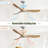 60 Inch Indoor Modern Ceiling Fan With 6 Speed Remote Control 3 Solid Wood Blade For Living Room-758443288