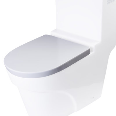 Elongated Toilet Seat