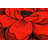 Vesta Floral Indoor Rug-669749574