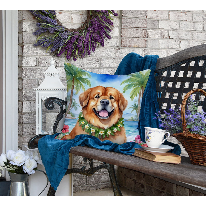 Other/No Pattern Outdoor Throw Pillow, 18" H x 18" W