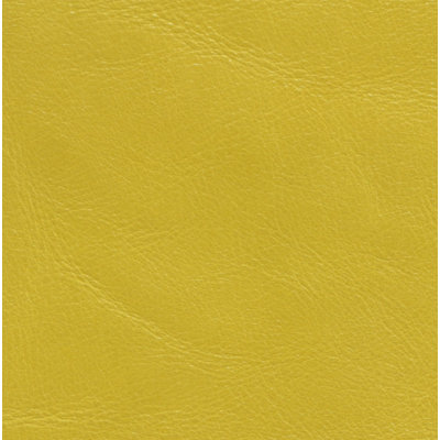 Daffodil Sample
