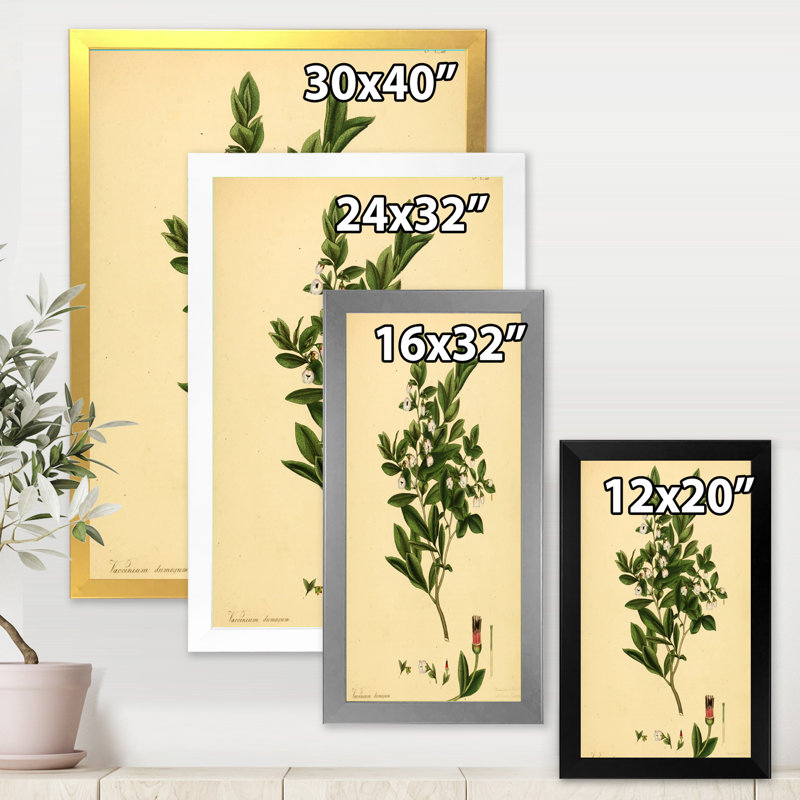 Vintage Plant Life XXV - Décoration murale traditionnelle, H 20 po x l 12 po x P 1po, Cadre doré