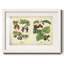 Cuisine fruits III-285017809-285017814