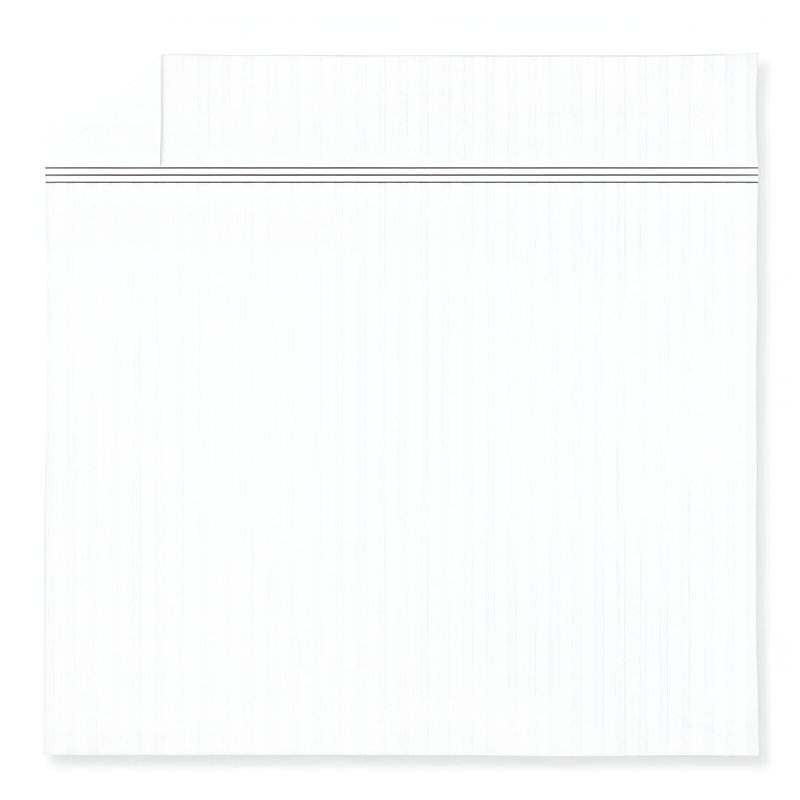 400TC Triple Embroidery Sateen Stripe Cotton 4 Piece Sheet Set Fitted Sheet Fits Upto 16" Deep Pocket, Light Gray Border