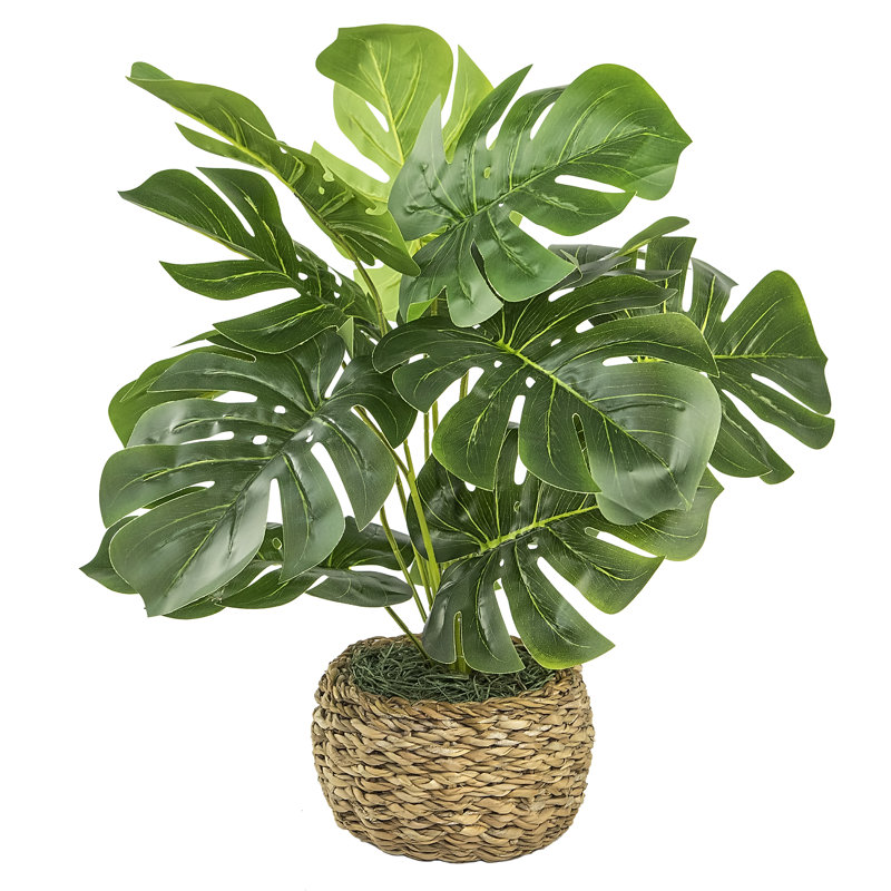 22'' Faux Philodendron Plant in Wicker/Rattan Basket